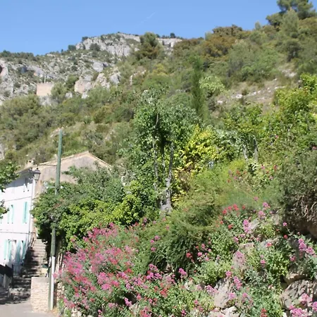 Apartamento Au Bonheur De Lili Fontaine-de-Vaucluse Exterior foto
